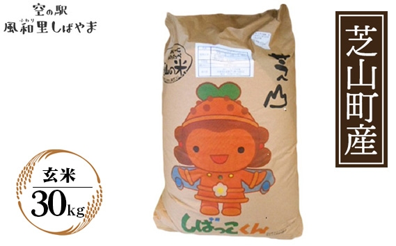 
                  令和7年産　芝山産コシヒカリ30kg（玄米） ／ コシヒカリ 玄米 げん米 げんまい 米 こめ コメ お米 こしひかり ご飯 ごはん 弁当 おにぎり 美味しい 評判 自慢の逸品 千葉県 No.075
                