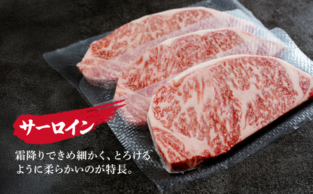 ＜定期便5回＞とちぎ和牛の厚切りサーロインステーキ 600ｇ×5回 計約3kg【栃木県共通返礼品】| 和牛 定期便 栃木県 茂木町