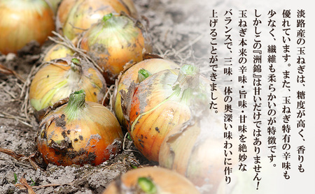 【予約受付】3kg★新玉ねぎ★オリジナルブランド『洲錦（しまにしき）商標登録商品』 玉ねぎ タマネギ 兵庫県 洲本市 淡路島