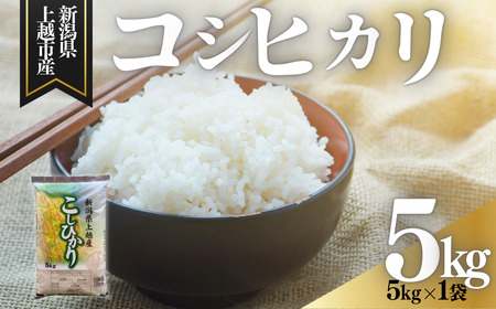 【8月上旬配送】上越市産 新潟 コシヒカリ 5kg こしひかり お米 精米 米 ご飯