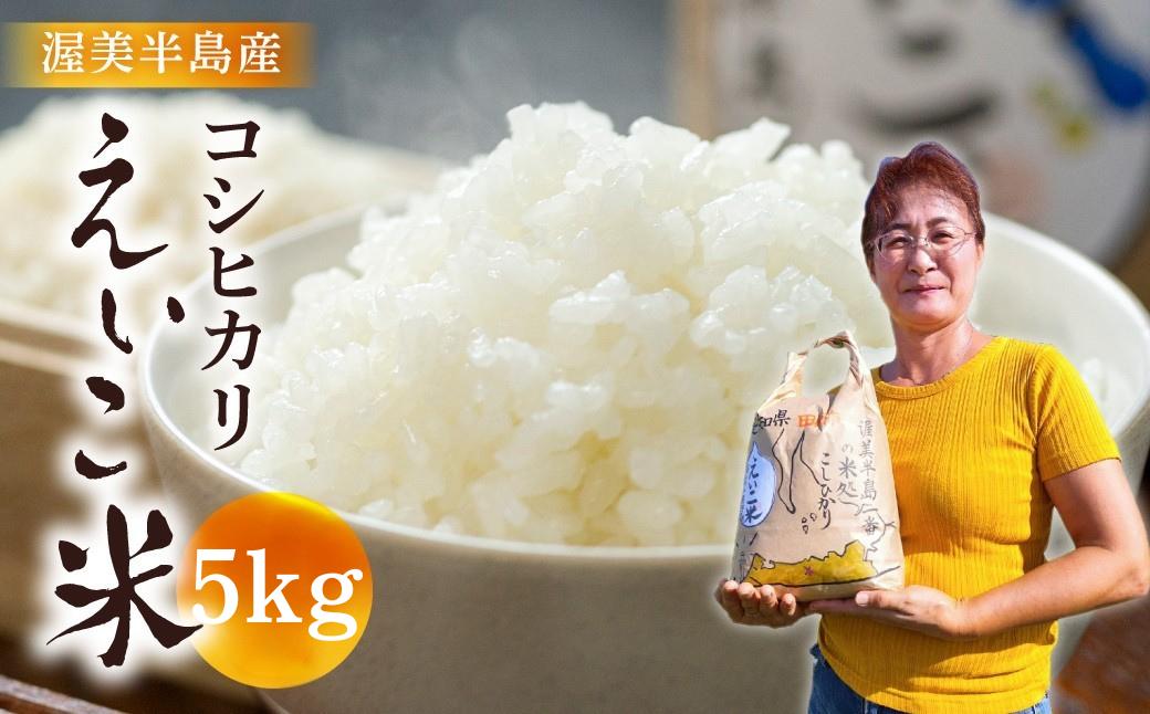 
            ＜令和7年産 新米＞渥美半島の米処 野田町のコシヒカリ えいこ米 5kg / 10kg
          