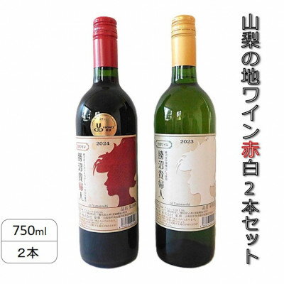 【ふるさと納税】山梨の地ワイン赤白2本セット(東夢 勝沼貴婦人)【配送不可地域：離島】【1707780】