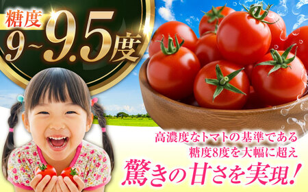 「食の安全」を守りたい！自然を活用した低農薬栽培！江田島ロマーノ トマト 2kg 料理 人気 美容 健康 ギフト 広島県産 江田島市/有限会社グリーンファーム沖美[XAB005]