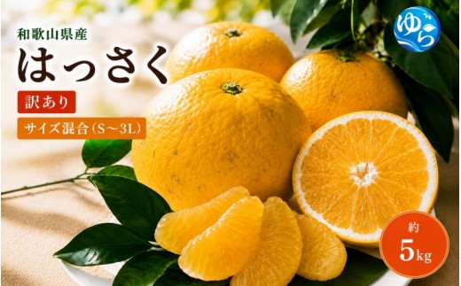 和歌山由良町産 はっさく 約5kg サイズ混合 (S～３L)【 訳あり 御家庭用 】【SL40】【sml022-c-5】