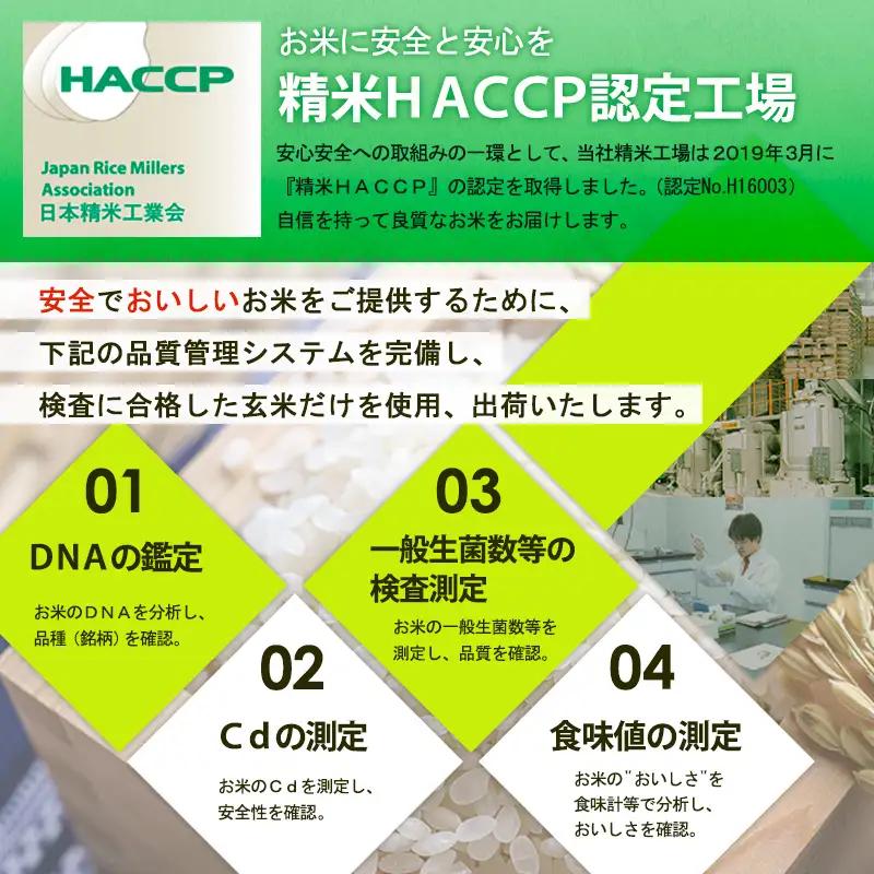 【令和7年産】山形産無洗米キューブつや姫・雪若丸詰合せ300ｇ×20 FZ25-899