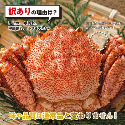 ふるさと納税 新ひだか町 <2026年2月中旬より発送> 訳あり 北海道産浜ゆで毛ガニ 約1kg <先行受付> |  | 01