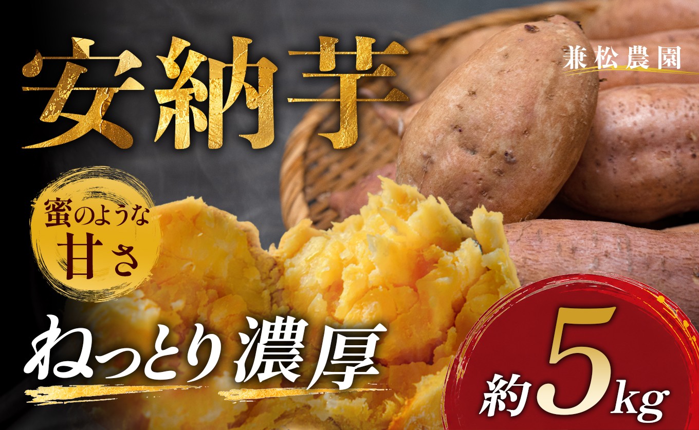 
                  さつまいも 熟成 安納芋 約5kg 焼き芋 焼芋 やきいも ねっとり 濃厚 蜜芋 芋 おいも サツマイモ さつま芋 安納いも スイーツ おやつ 国産 産地直送 栽培期間中農薬不使用 高知県 大月町産
                