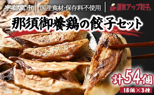 
                  宇都宮餃子 運気アップ餃子  鶏餃子 3種類味比べ(合計54個)【 餃子 食べ比べセット 冷凍餃子 冷凍食品 惣菜 栃木県 宇都宮市 】※配送不可地域：離島
                