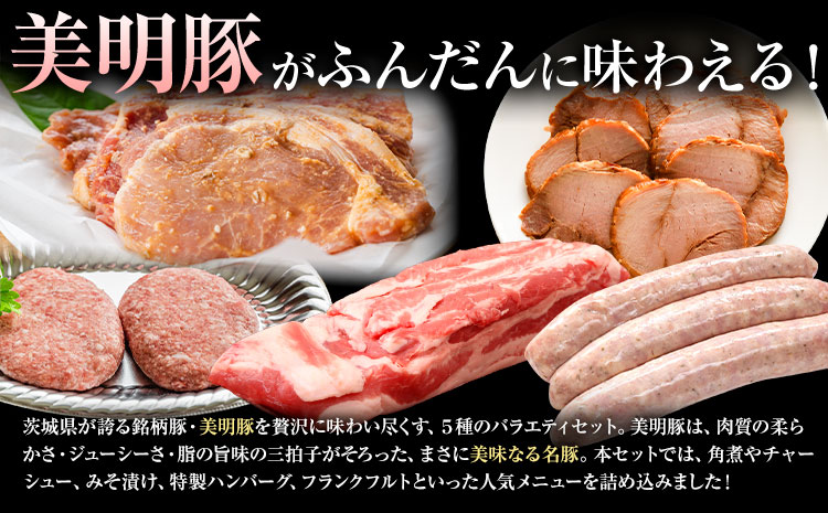 美明豚 5種の詰め合わせセット 角煮 チャーシュー ハンバーグ みそ漬け フランクフルト (茨城県共通返礼品：茨城県産) ワークミート《30日以内に出荷予定(土日祝除く)》茨城県 河内町 SPF豚 び