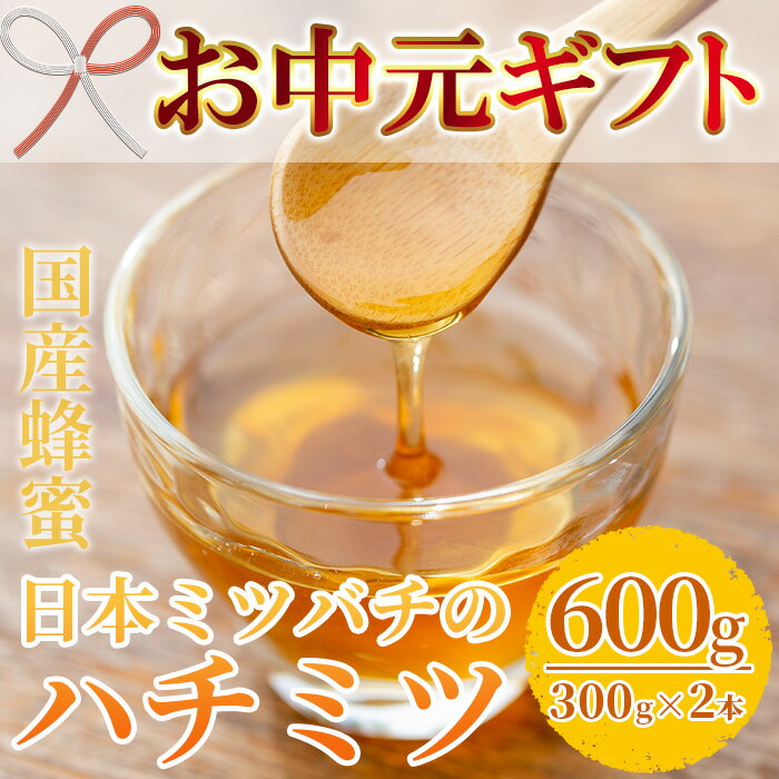 【ふるさと納税】＜2026年お中元ギフト＞《数量限定》国産！日本ミツバチの蜂蜜(300g×2本・計600g) 国産 はちみつ ハチミツ 常温 常温配送 【タカクマ養蜂所】