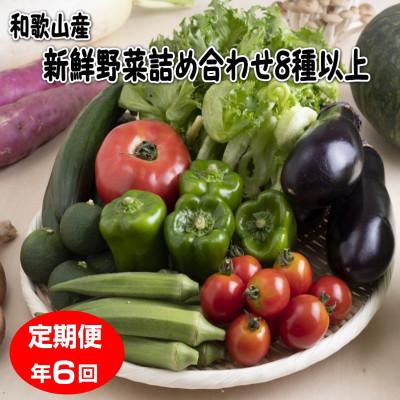 ふるさと納税 御坊市 【発送月固定定期便】旬の新鮮野菜セット8種以上 奇数月にお届け【野菜詰め合わせ】全6回