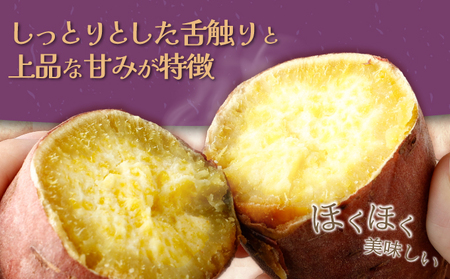 【先行予約】訳あり 掘りたて！あま～い訳あり新さつまいも（紅まさり）４ｋｇ 芋 さつま芋 野菜 サツマイモ 数量限定