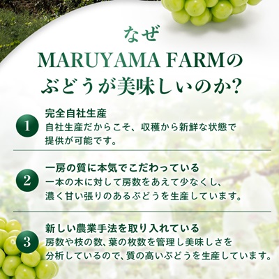 【農林水産大臣賞受賞!!】シャインマスカット 2房 1kg以上【配送不可地域：離島】