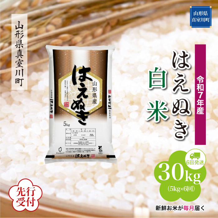 ＜令和7年産米先行受付＞ 真室川町産 はえぬき 【白米】30kg定期便 (5kg×6回)　配送時期指定できます！