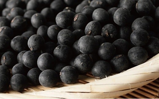 京丹波町を代表する特産品 新丹波黒大豆