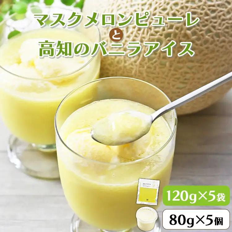 メロンピューレ バニラアイスクリーム 5個セット【バニラアイス ピューレ アイスセット ピューレ JALファーストクラス機内食採用 ピューレ テレビで紹介 メロンピューレ】 tn-0021