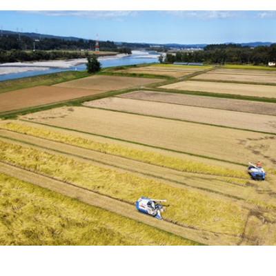 ふるさと納税 十日町市 【令和7年産】　魚沼産コシヒカリ特別栽培米2kg |  | 02