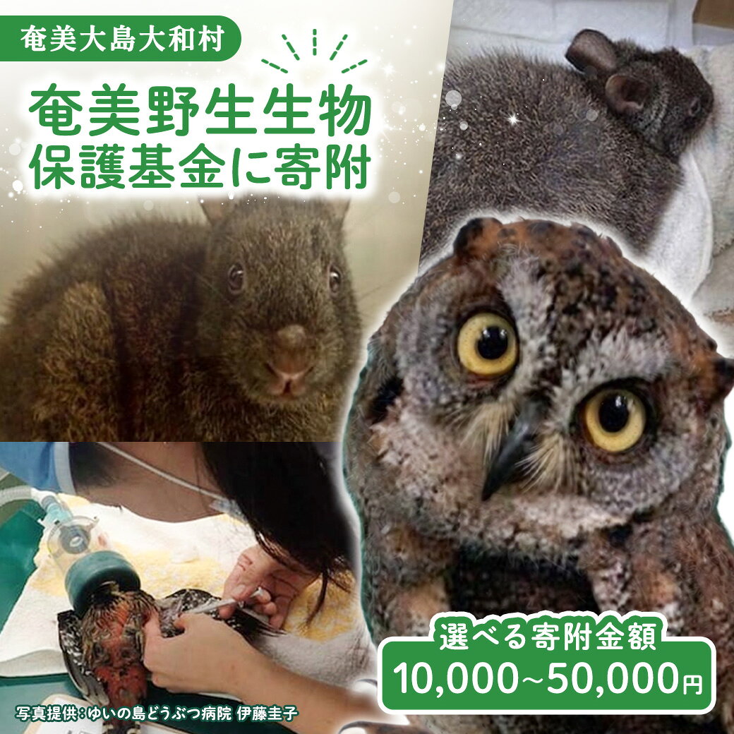 【ふるさと納税】 奄美 野生生物 保護基金 選べる寄附額 返礼品なし 自然保護 野生生物保護 アマミノクロウサギ 世界自然遺産 鹿児島県 奄美大島 大和村