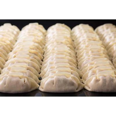 ふるさと納税 名古屋市 50年餃子 元祖肉餃子&野菜増し肉餃子 各種40個入り |  | 01