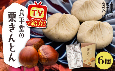 【スピード配送】【カーボンオフセット対象】栗きんとん6個 / 恵那市 / 良平堂 [AUDB014] 栗きんとん