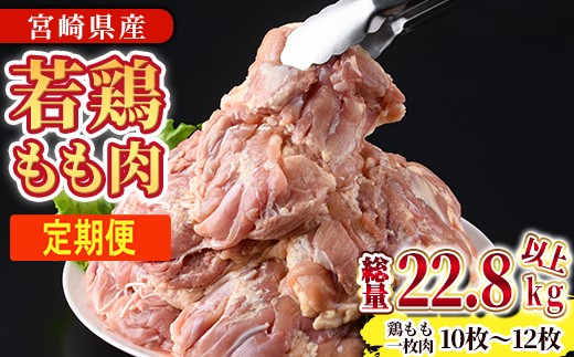 
                  【定期便・全6回】宮崎県産若鶏もも肉(総量22.8kg以上・鶏もも一枚肉250～350g×10～12枚×6回)  お肉 鳥肉 とり肉 鶏肉 若鶏 もも肉 国産 宮崎県産 唐揚げ から揚げ からあげ 冷凍 便利 【NK-23】【南九フーズ】
                