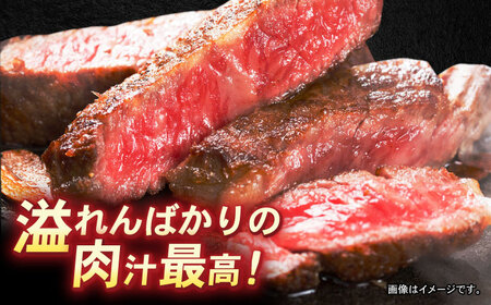 長崎和牛サーロインステーキ 約250g×2枚 / 牛肉 和牛 国産牛 肉 ステーキ サーロイン / 諫早市 / 肉の牛長 諫早店[AHEM001]