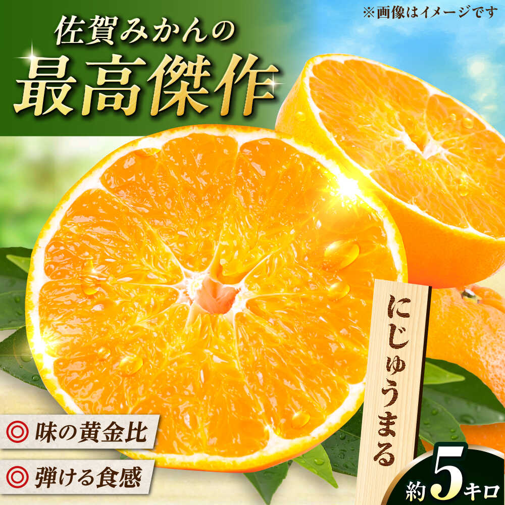 【ふるさと納税】佐賀県産みかん にじゅうまる約5kg / フルーツ 柑橘 唐津 にじゅうまる / 佐賀県 / リフルット株式会社 [41ABAA023]