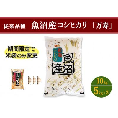 ふるさと納税 十日町市 数量限定　従来品種　魚沼産コシヒカリ　万寿　5kg×2袋　令和6年産米 | 