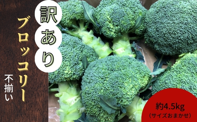 訳ありブロッコリー　約4.5kg（サイズおまかせ）