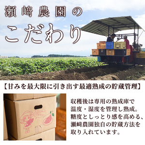 ＜先行予約受付中！2026年9月以降順次発送予定！＞紫芋 加工用さつまいも紫優(5kg)【瀬崎農園】A418-v02