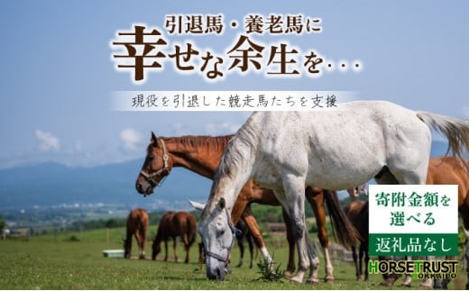 
                  【寄附額が選べる】北海道 岩内町 ホーストラスト 1,000円～1,000万円【引退競走馬 余生支援】
                