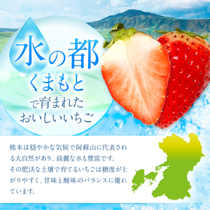 イチゴ 生産量 西 日本一 ‼ 厳選農家直送 いちご ゆうべに 約 1000g | フルーツ 果物 くだもの 苺 いちご  熊本県 玉名市