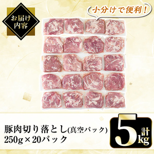 A5-033 国産！鹿児島県産豚肉切り落とし真空小分け計5kg(250g×20P)【肉の豊楽】霧島市 豚肉 小分け 切り落とし 真空パック