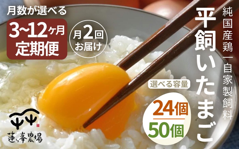 
            【定期便 選べる容量・回数】 京都奥丹波 純国産鶏もみじ 平飼いたまご 24個/50個 月2回 6～24ヶ月 【 卵定期便 たまご定期便 平飼い卵 非遺伝子組み換え たまご タマゴ 平飼い 卵 国産 もみじ 京都 蓮ヶ峯農場 たまごかけごはん 卵かけごはん たまごかけご飯 綾部 】
          