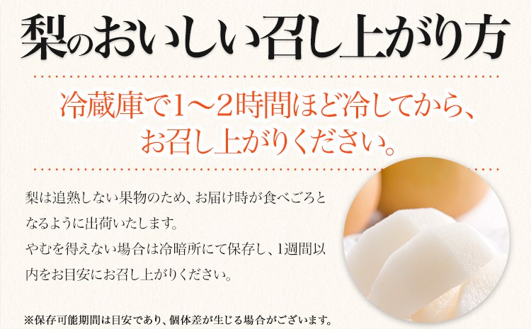 くまもと梨 梨 秋 旬 なし 幸水 豊水 先行 果物 くだもの フルーツ ナシ 梨 先行予約 送料無料 あきづき 甘太 新高 新興 約3.5kg 5玉〜15玉前後 熊本県産【着日指定不可】《8月下旬‐