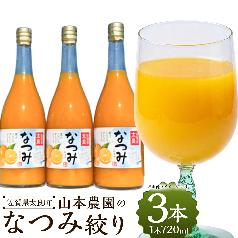 【ふるさと納税】山本農園のなつみ絞り 3本セット NC12x1