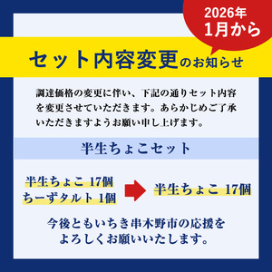 【訳あり】ご自宅用！半生ちょこ　合計17個【A-1596H】