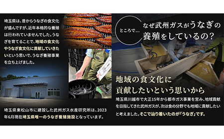 武州うなぎ 国産うなぎ蒲焼 2尾 お手頃サイズ 冷凍真空パック（約200g）【埼玉県 東松山市 鰻 ウナギ 誕生日 プレゼント 鰻の蒲焼き 特選品 美味しい お取り寄せ 贈り物 グルメ 旬 おすすめ 