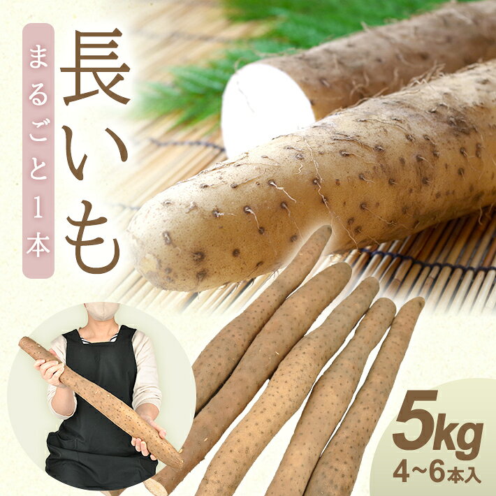 【ふるさと納税】長いも 5.0kg 4～6本 山形県遊佐町産 野菜 長いも 農家直送 産地直送 山形県 遊佐町 庄内 砂丘育ち