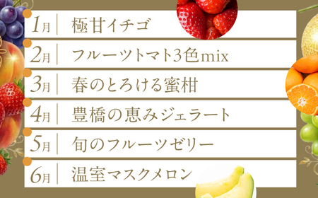 【12回定期便】どうまい フルーツ定期便 プレミアム フルーツ