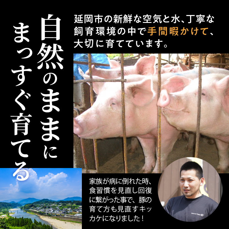延岡よっとん肩ロースブロック約1㎏ N003-YZA330-1