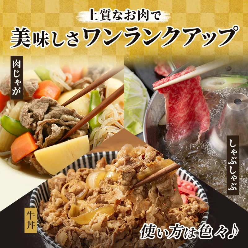 飛騨牛 牛肉 切り落とし 500g×2 計1kg 和牛