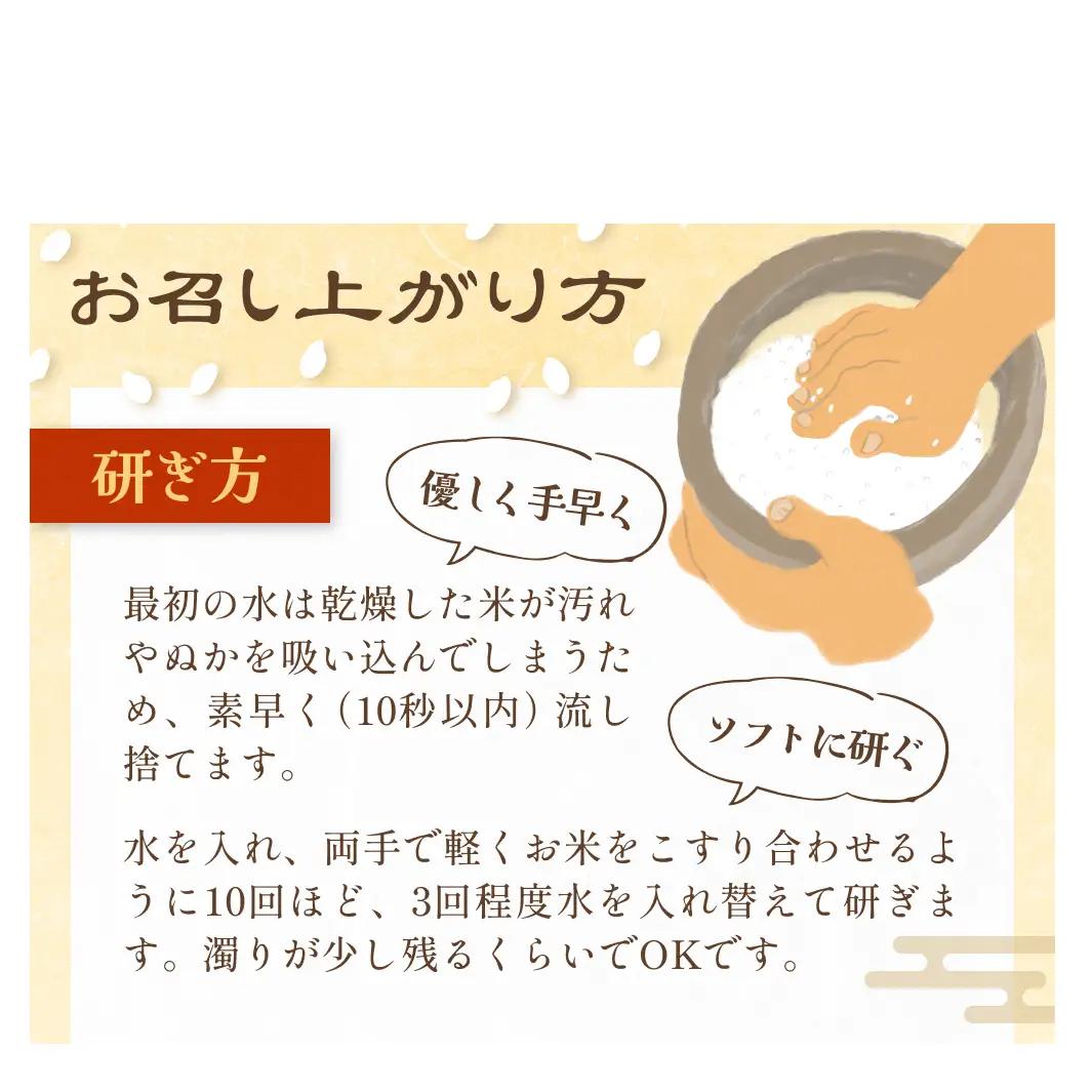 【令和8年度産先行受付】玖珠米ひとめぼれ 10kg こめ コメ お米 ヒトメボレ ご飯 ライス 大分県 大分 玖珠町 玖珠