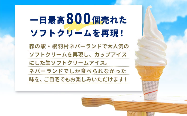 食べ比べ！乳原料南信州産100％使用！生ソフトクリームアイス&バニラアイスクリーム (80ml)×8個セット