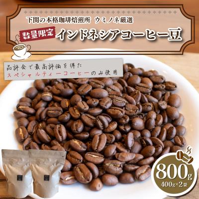ふるさと納税 下関市 【中深煎り】訳ありコーヒー豆 800g ( 400g × 2袋 ) インドネシア EW152-C-x