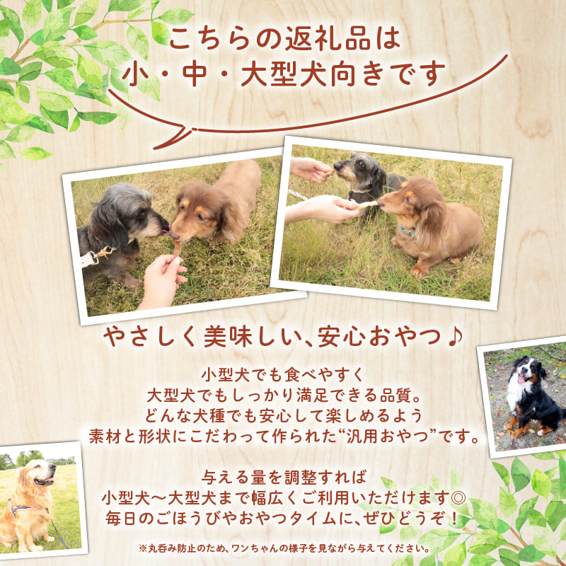 ドッグフード 砂肝ジャーキー （カット） 200g 【 鶏 砂肝 ドックフード ジャーキー カット ペット おやつ ペット用品 犬用 無添加 無着色 国内製造 安心 安全 自然食品 ケーティーコモディ