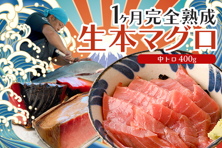 熟成 生 本マグロ 中トロ 400g 冷蔵 刺身用 国産 高知県産 高級 海鮮 熟成本まぐろ グルメ