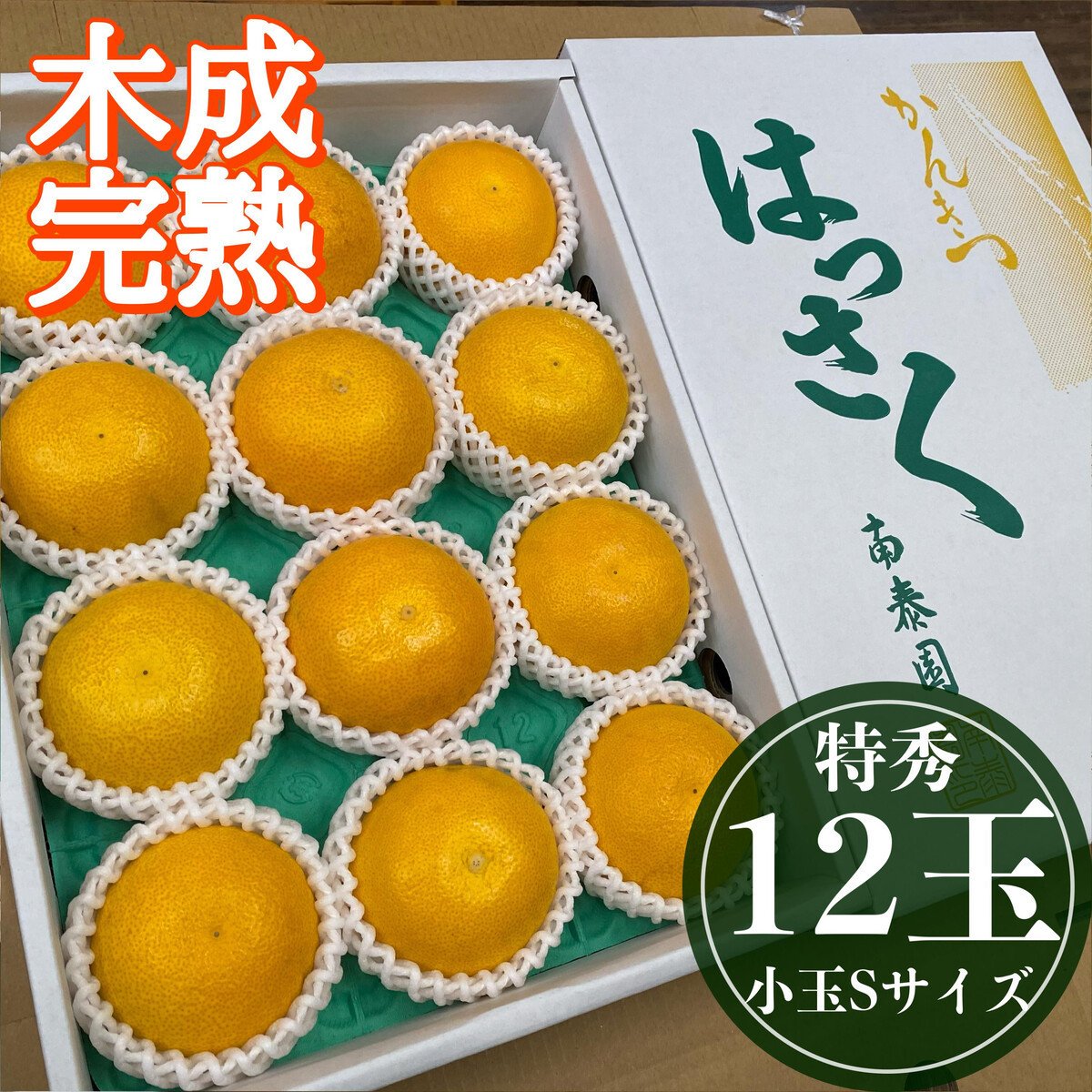 
            4月 まで 木成 完熟 させた 有田 はっさく 特秀 小玉 S × 12玉 化粧箱 南泰園 みかん
          