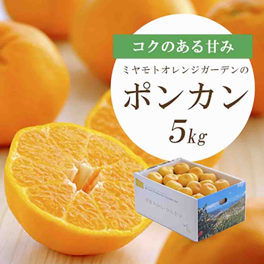 
                  ＜2026年1月以降発送＞愛媛の新春柑橘 芳醇な香りのポンカン5kg＜D25-124＞【1248058】 YWTAP067
                