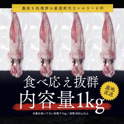 ふるさと納税 若狭町 若狭湾産 白イカ(剣先イカ) 3〜6杯 (スミ抜き/冷凍) |  | 02